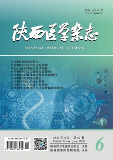 陜西醫學期刊